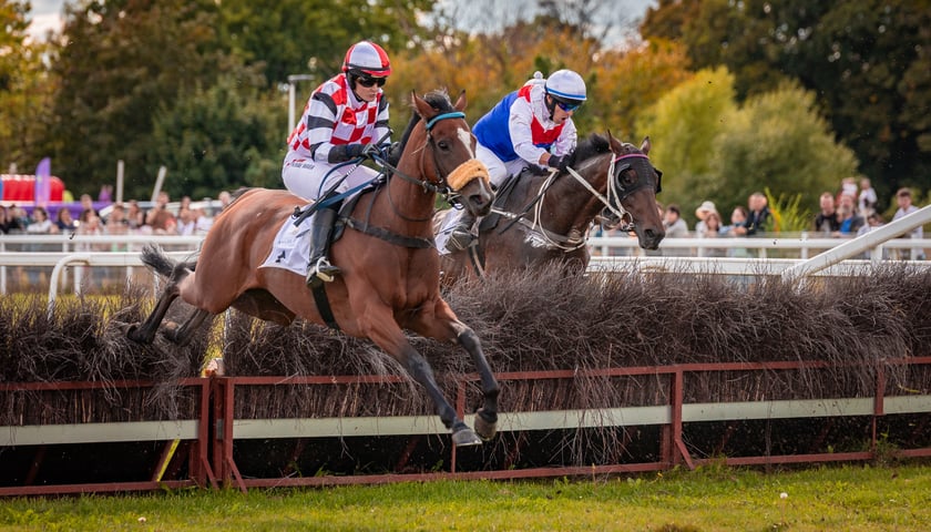 Dwóch jeźdźców i ich konie skaczące przez przeszkody