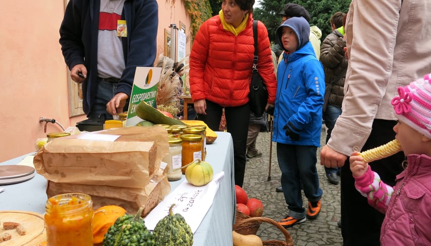 Tłumy na Festiwalu Dyni