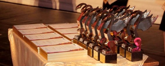 „Dolnośląskie Gryfy” rozdane