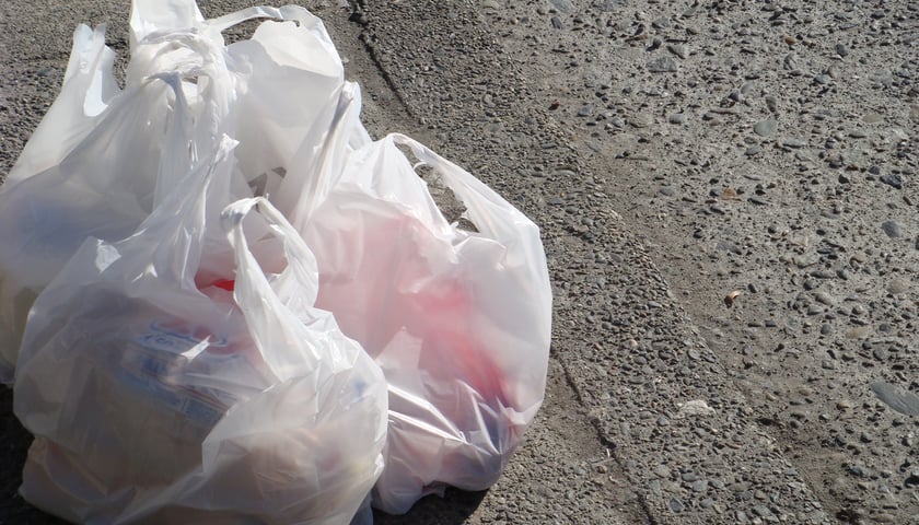 Jednorazówki na cenzurowanym