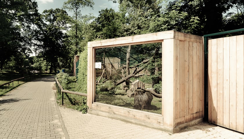 Docenili wybieg dla rysi