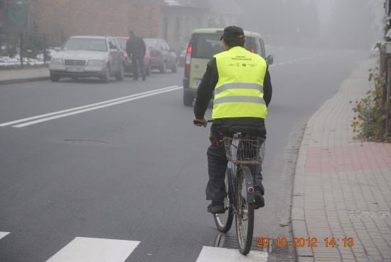 Piesi giną po zmroku
