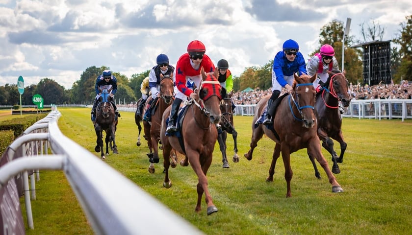 Dzień wyścigowy na Partynicach, zdjęcie archiwalne