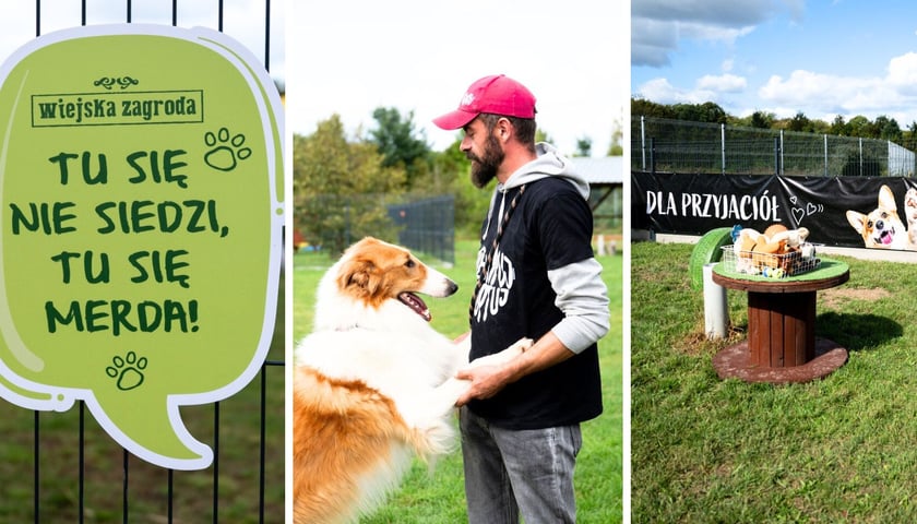 Na zdjęciach od lewej – tabliczka na jednym z nowych wybiegów, opiekun w schronisku z psem, widok na nowy wybieg