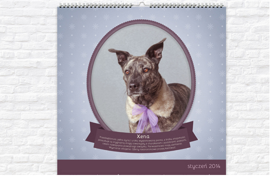 Wysoki, przystojny dżentelmen szuka domu