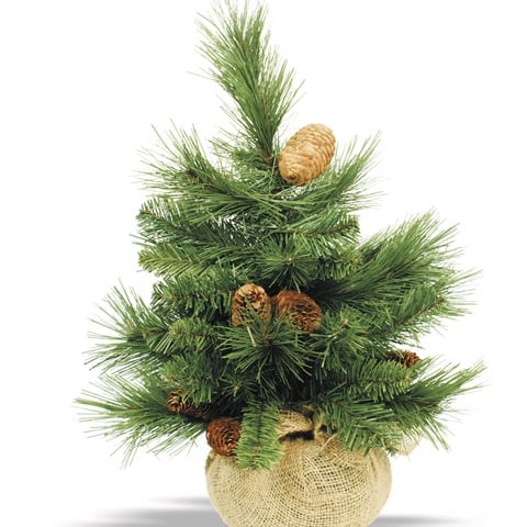 Święta w historii Wrocławia