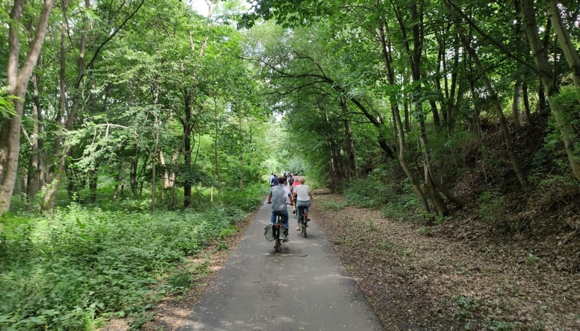 Promenada Krzycka
