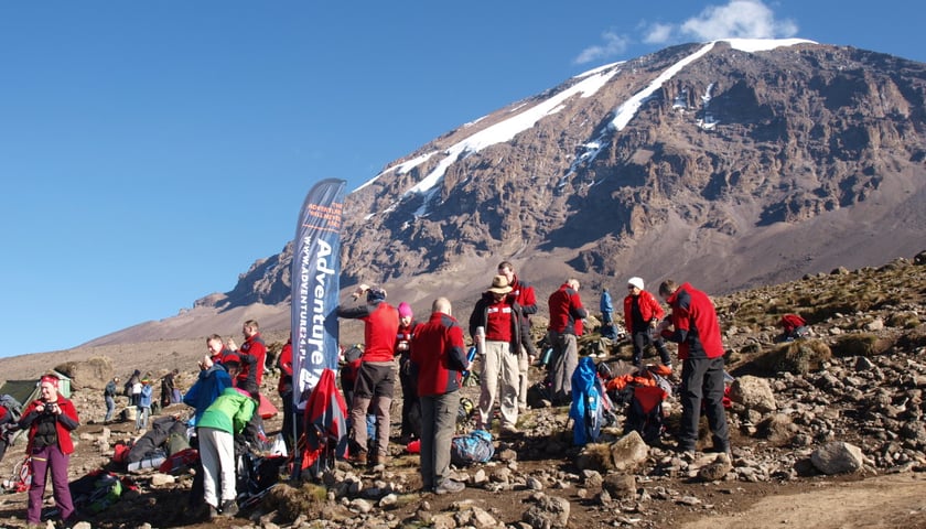 „Szpik Na Szczyt”