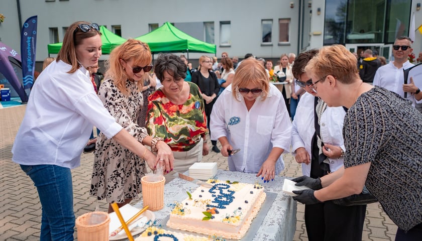 Kilka osób kroi tort