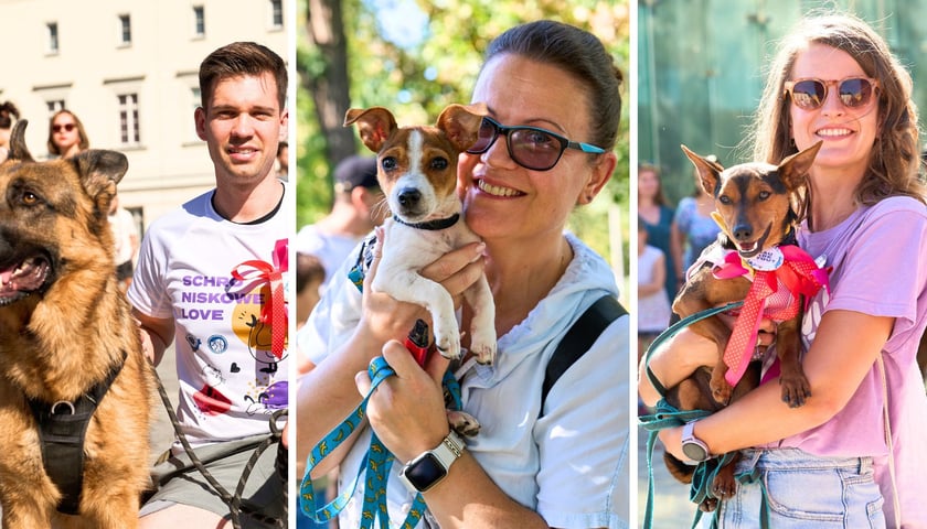 Na zdjęciach uczestnicy Parady Psów Wrocławskich z psami na rękach