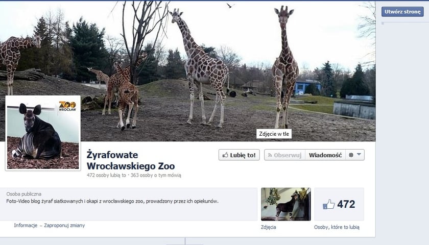 Ulubieńcy z zoo na Facebooku
