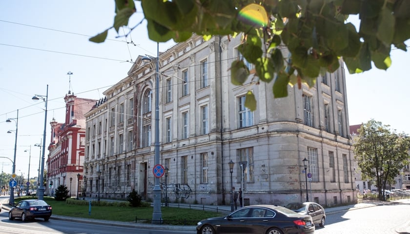 Honorowy doktorat dla transplantologa