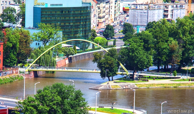 Nie ma zgody na wycinkę nad Odrą