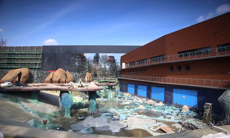 Afrykarium: szkielet walenia na plaży uchatek