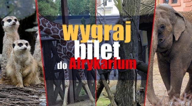 Wygraj zwiedzanie Oceanarium - Afrykarium