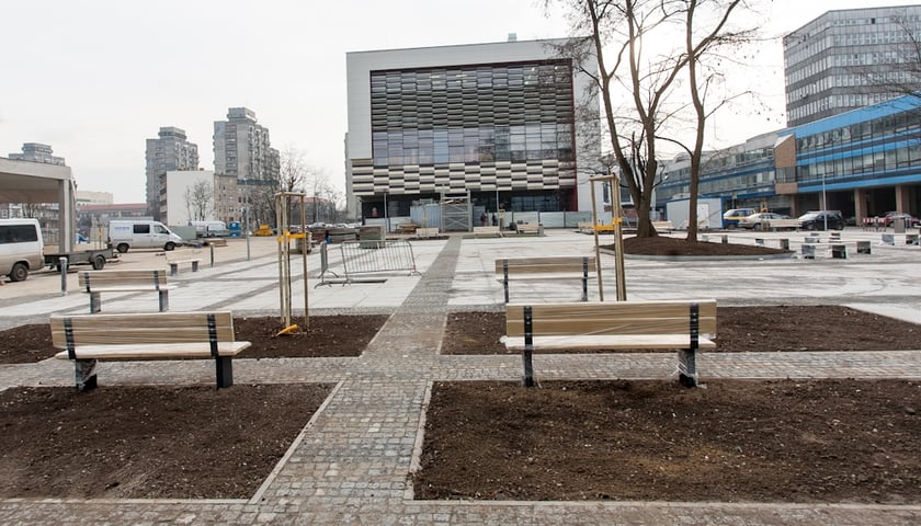 Sprawdź, jakie studia wybrać