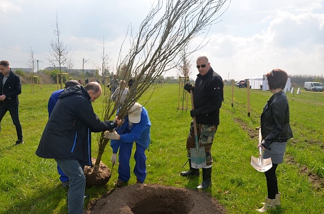Posadzili ponad 40 drzew (FILM)
