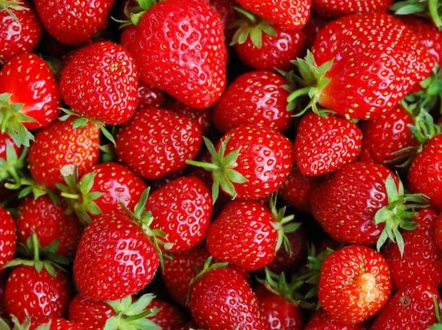 Przygotowania do sezonu truskawkowego