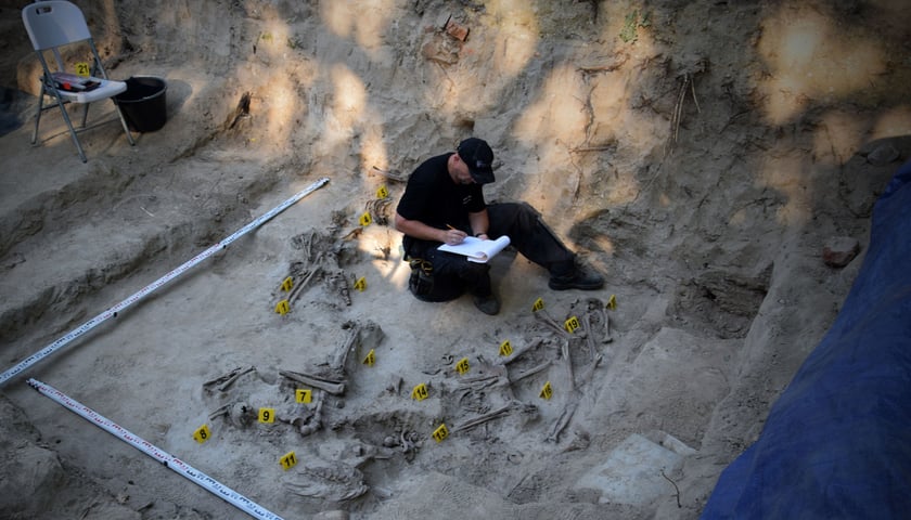 Badania miejsca pochówku polskich obrońców Lwowa, poległych w 1939 roku. Na zdjęciu mężczyzna w uniformie w głębokim wykopie.