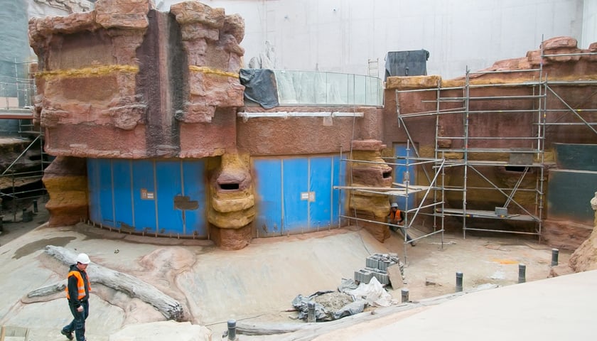 Afrykarium-Oceanarium: czekając na koralowce