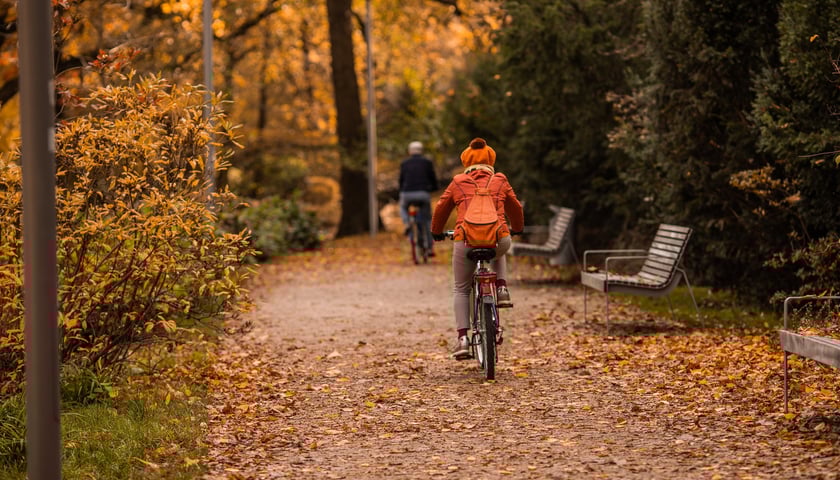 Dwoje rowerzystów w parku, zdjęcie ilustracyjne