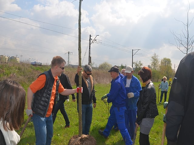 Bulwary się zazielenią