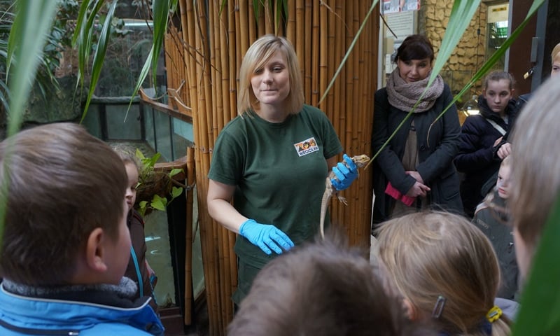Tych opowieści jeszcze nie słyszałeś…