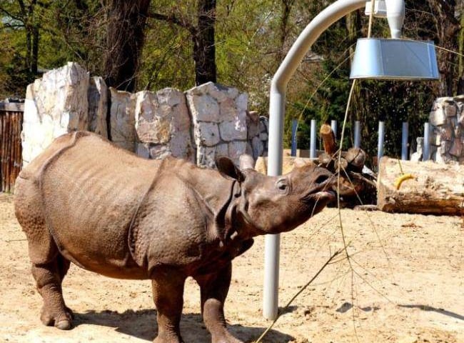 W czwartek taniej do zoo