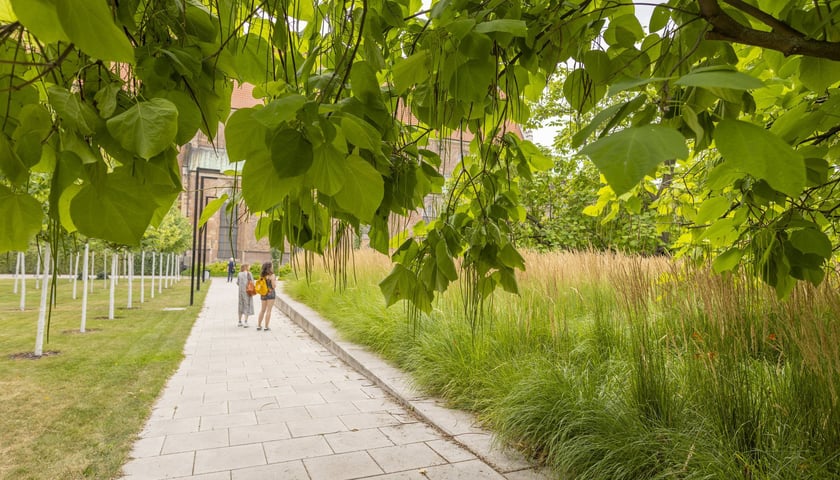 Ludzie idący przez alejkę na skwerze Wrocławianek