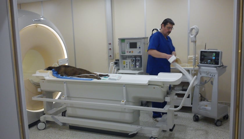 Uniwersytet Przyrodniczy rozpoczyna nabór