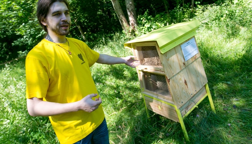Otworzyli hotel dla pszczół