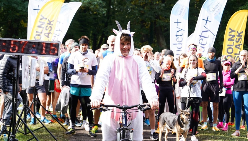 Królewski Bieg z Kozą i festyn na Kozanowie - 4.10.2025 r. Uczestnik biegu w przebraniu kozy