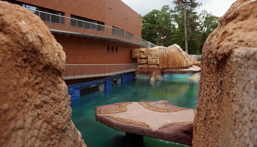 Afrykarium-Oceanarium: Jest woda w basenie pingwinów [ZDJĘCIA]