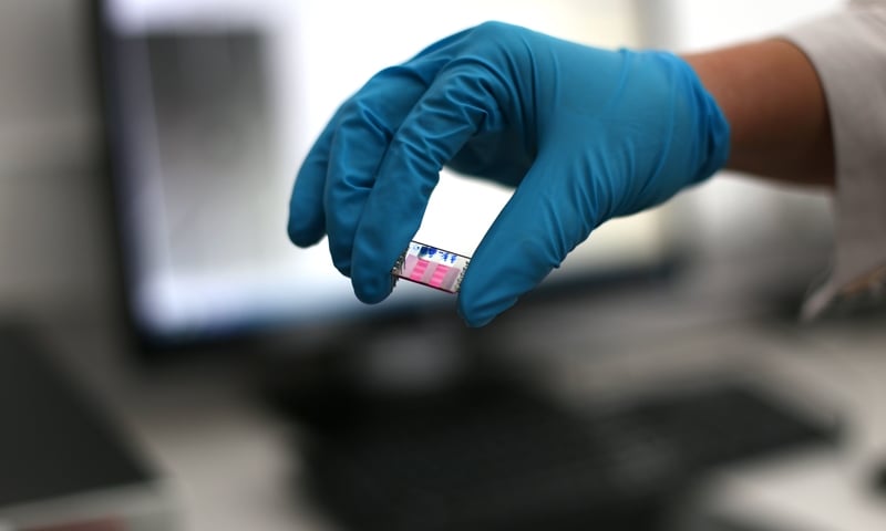 Immunolodzy spotkają się w mieście spotkań