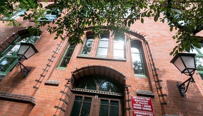 Zobacz Stare Kliniki: kampus medyków