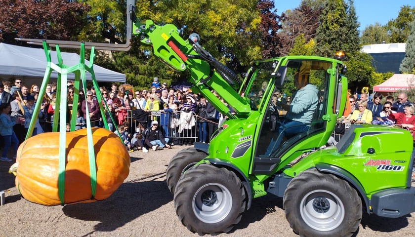 Festiwal Dyni 2024