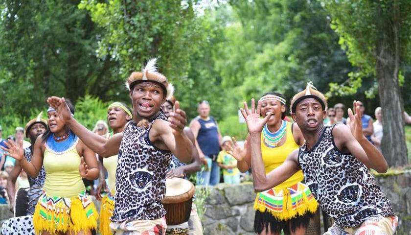 Przedsmak Afrykarium we wrocławskim zoo