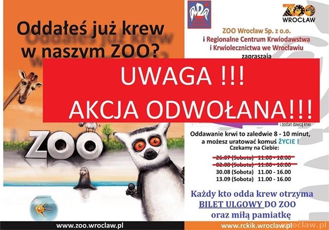 Oddaj krew w wakacje