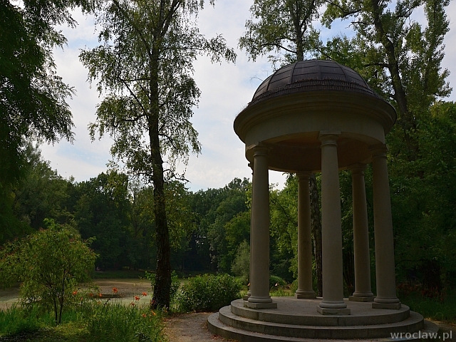 Tajemniczy ogród na Pawłowicach [ZDJĘCIA I WIDEO]