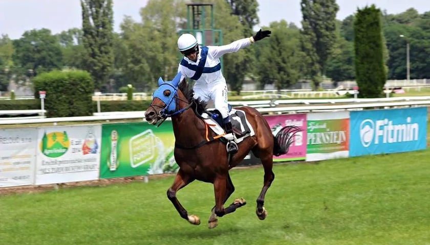 Wrocławski koń wygrał w Pardubicach