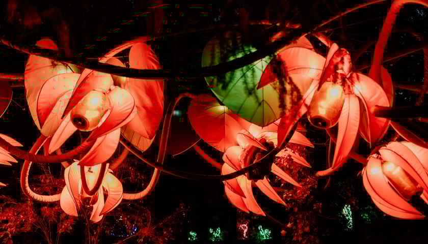 Lumina Park w Zamku Topacz 2025