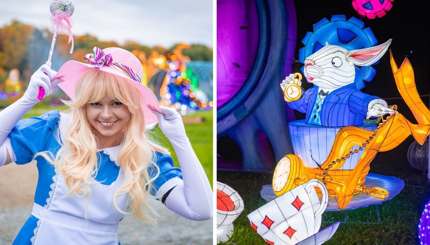 Po lewej: Alicja z Krainy Czarów, po prawej: iluminacje