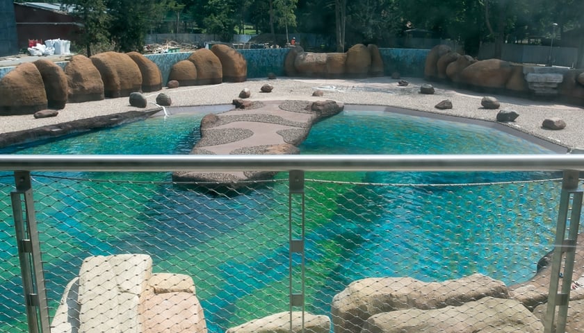 Kotiki dostały apartament w Afrykarium