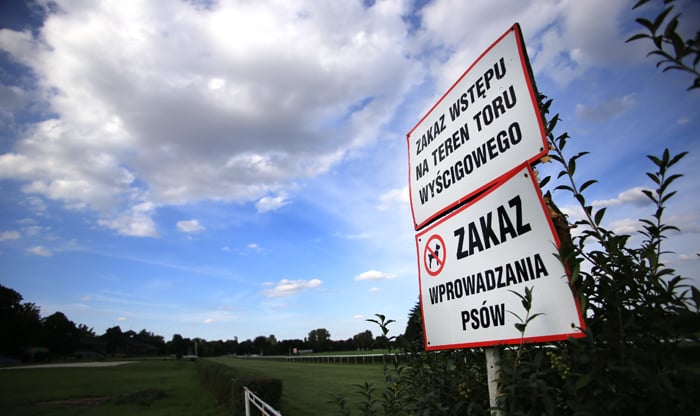 Szef Partynic: teraz spacery po torze niebezpieczne, ale to się zmieni