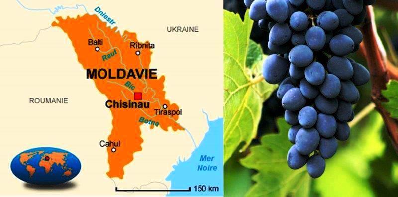 Misja dla Wrocławia – Mołdawia