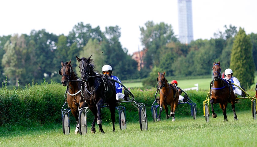 Partynice: Wyścigi kłusaków