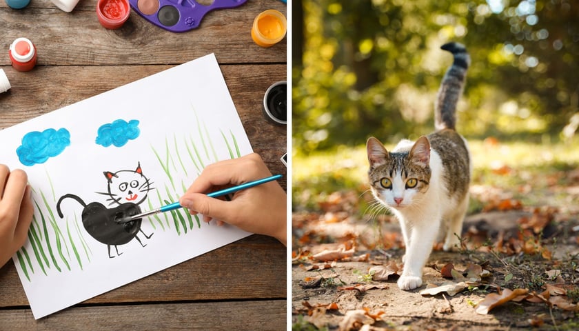 Po lewej: rysunek kota, po prawej: kot w parku (zdjęcia ilustracyjne)