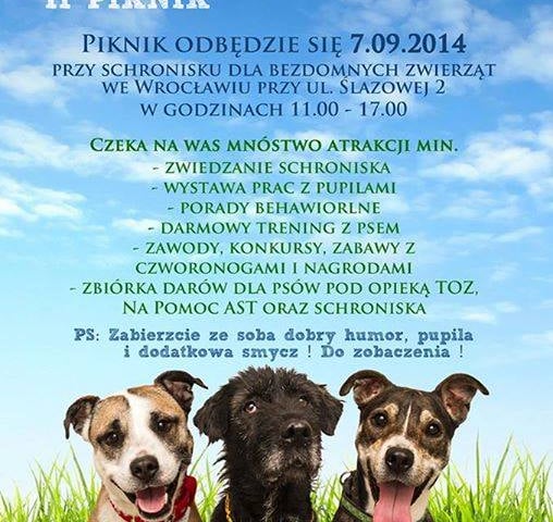 Moda na kundelka we Wrocławiu [ZDJĘCIA]