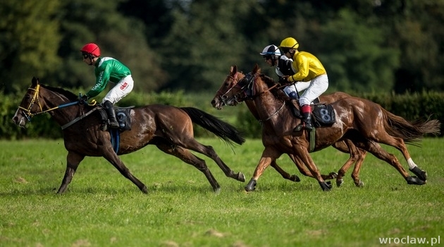 Seniorzy! Na koń! [WIDEO]