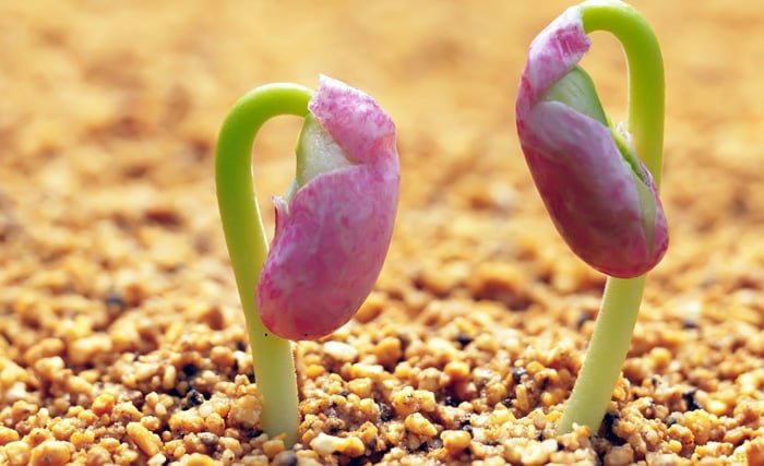 Niezwykły konkurs dla architektów krajobrazu